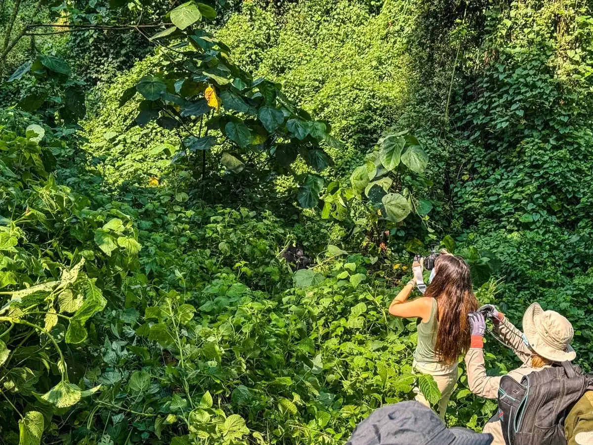 What to Pack for Gorilla Trekking