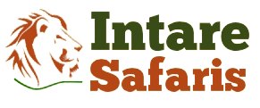 Intare Safaris Uganda and Rwanda safari company logo