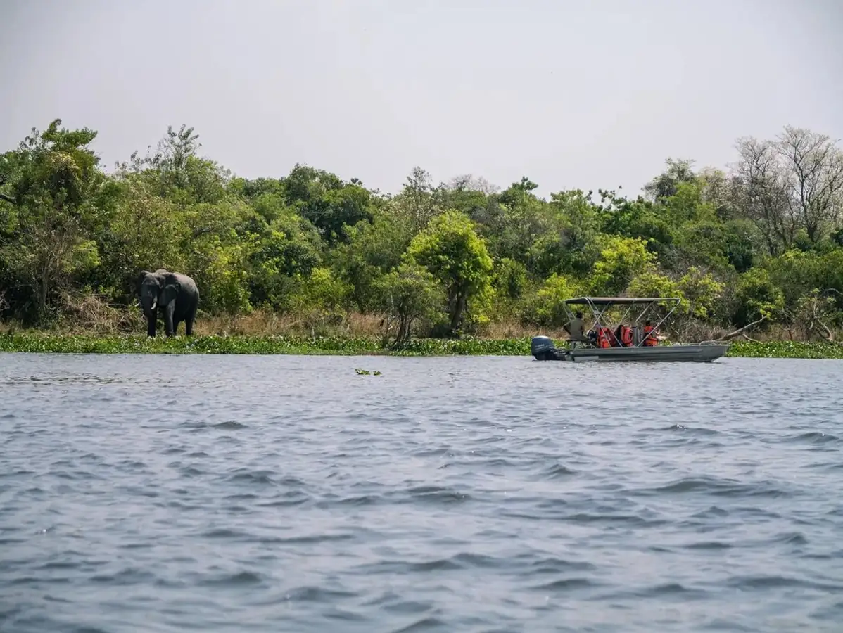 6 Days Uganda Safari & Boat Cruise safari package in Uganda and Rwanda