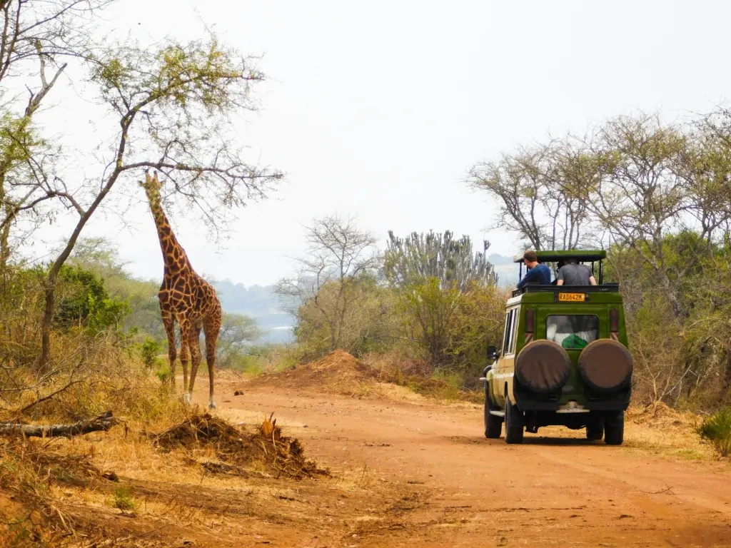 Akagera Wildlife Safaris in Rwanda with Intare Safaris