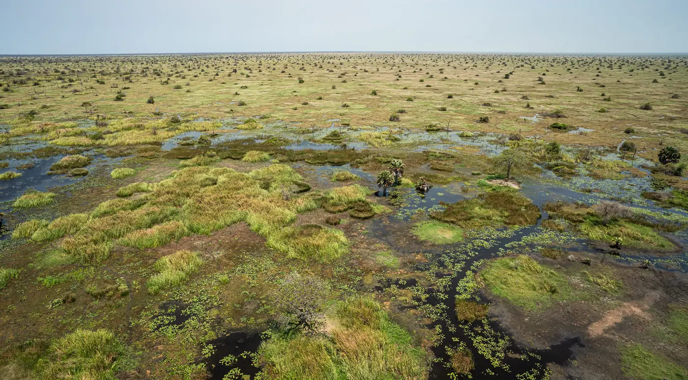 Sudd Wetlands in South Sudan with Intare Safaris