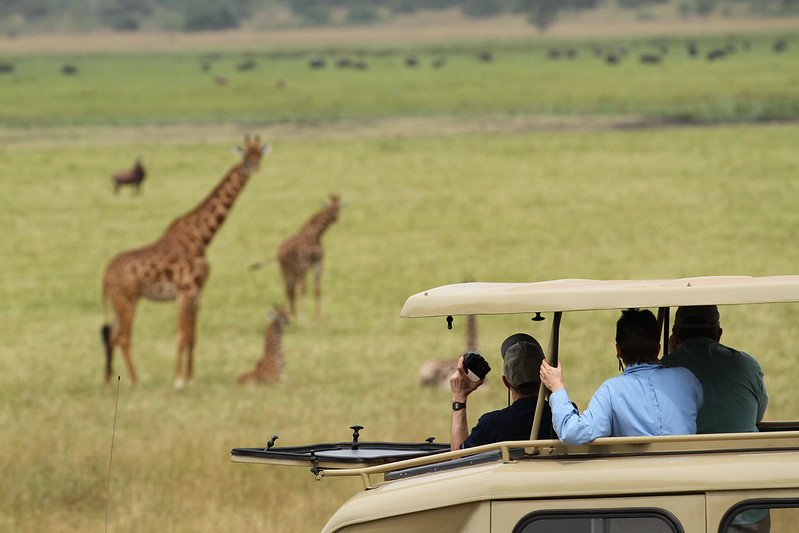 Guests in safari vehicle watching giraffes in Akagera, Rwanda