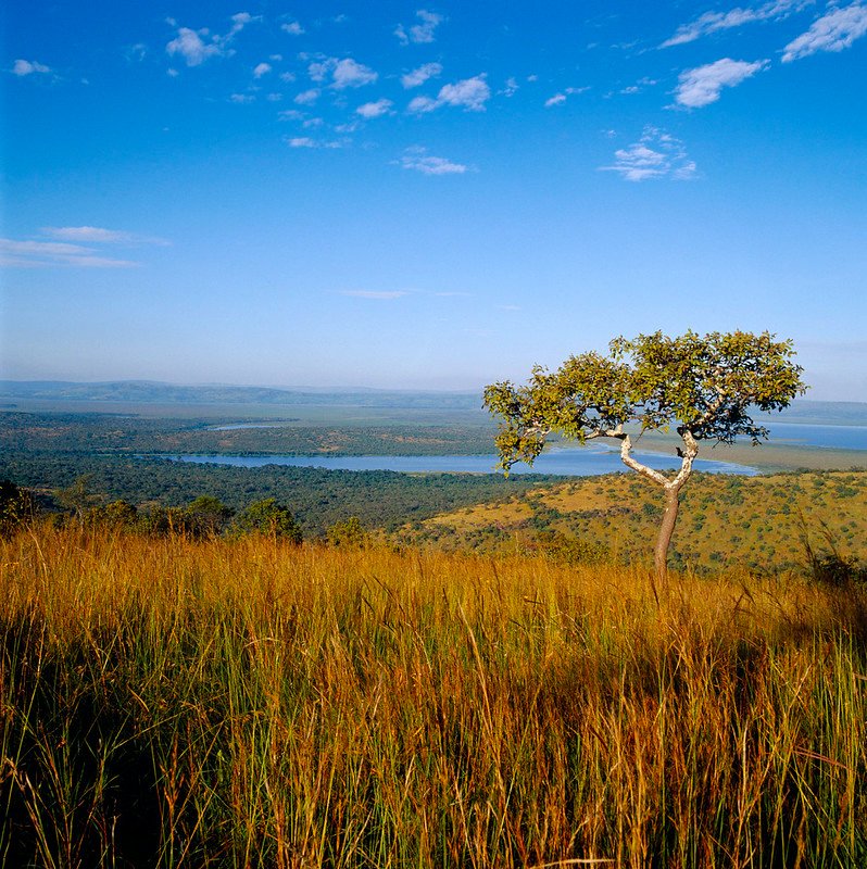 Akagera National Park