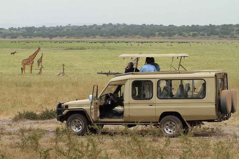 Safari vehicle on plain with giraffe family in Akagera, Rwanda