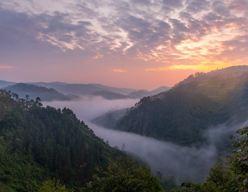 Misty valley at sunrise with terraced hills