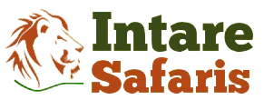 Intare Safaris
