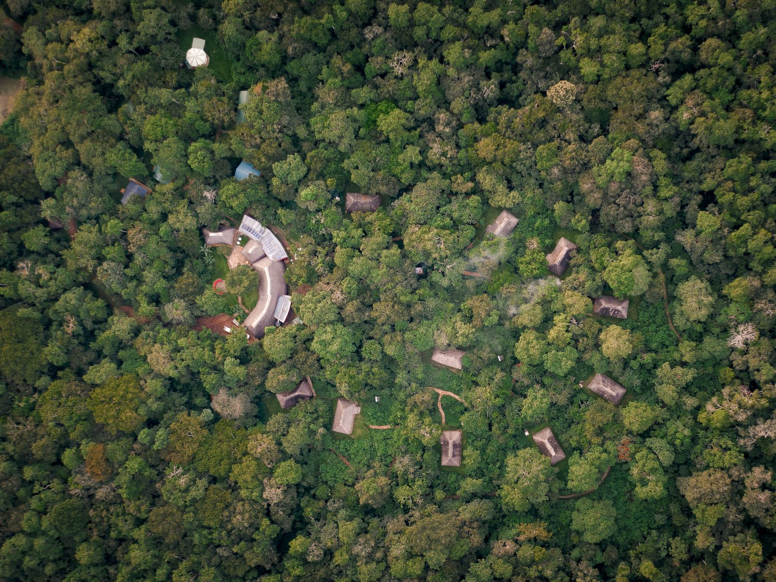 Aerial view of a forest lodge among closed canopy rainforest
