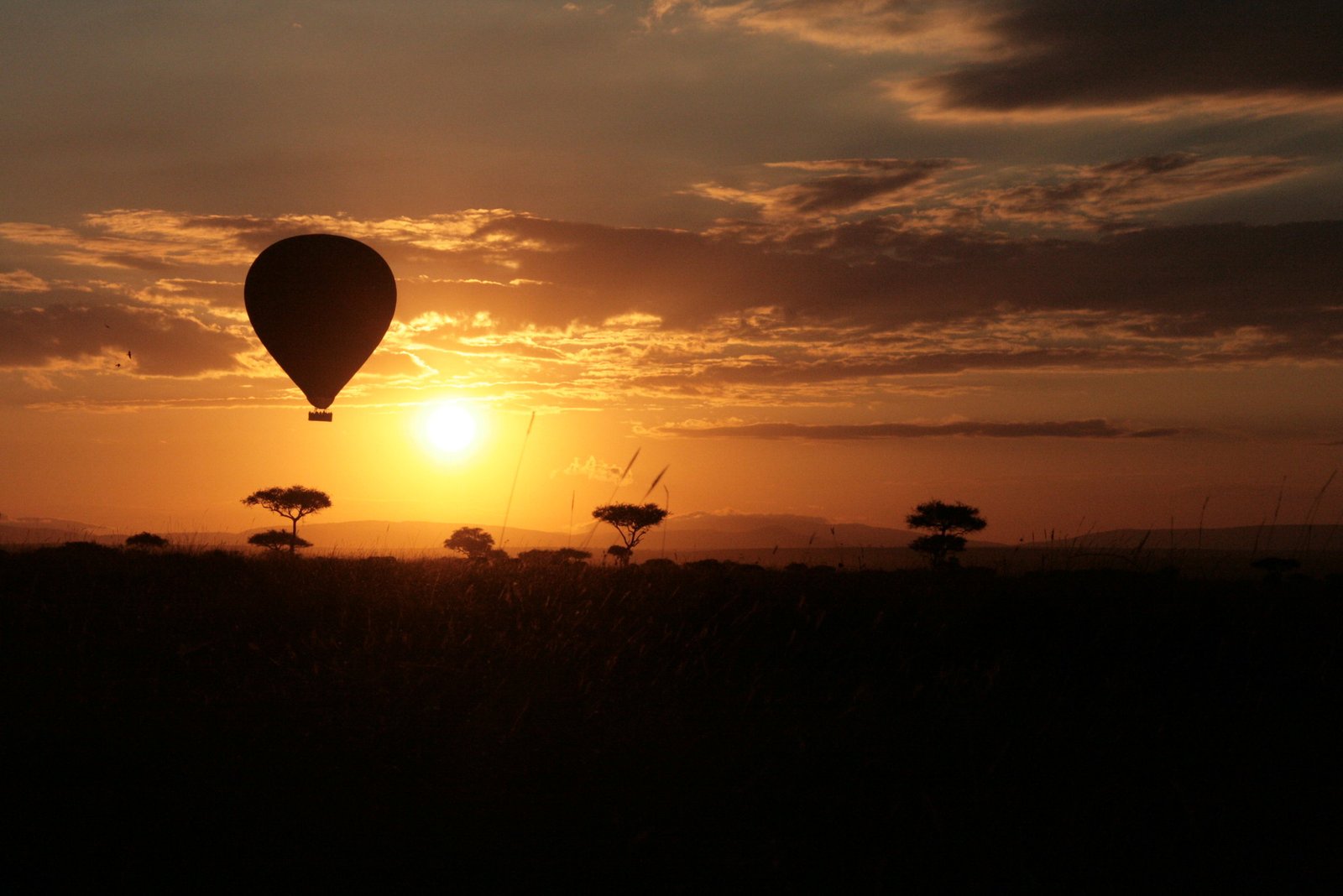 Mara hot air balloon at sunrise over acacia plains