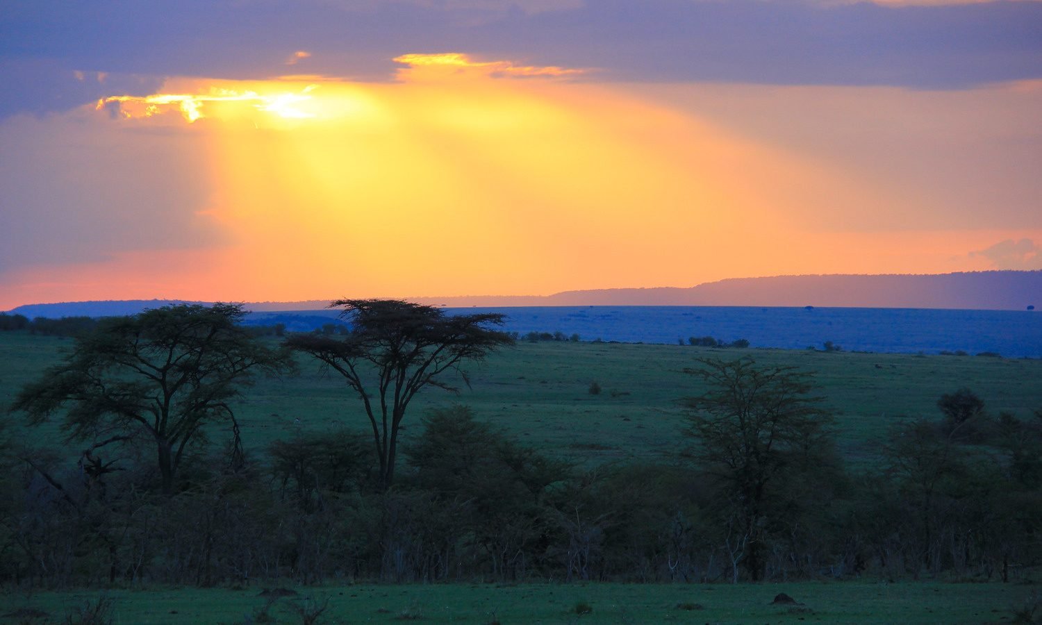 Mara sunbeams over acacia dotted plains at sunset