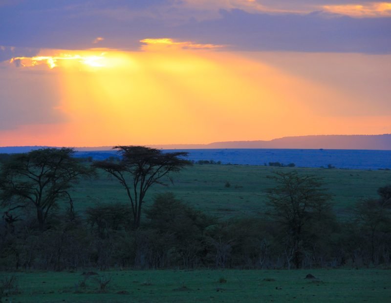 Mara sunbeams over acacia dotted plains at sunset