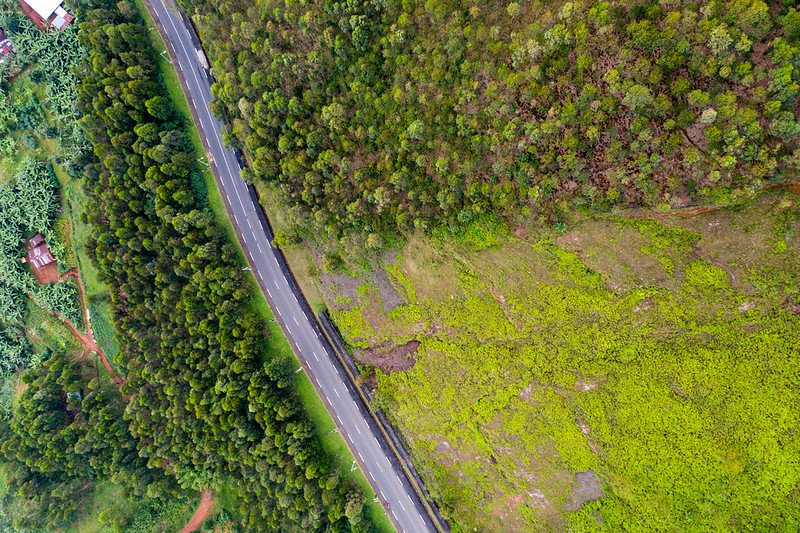 Top down aerial of road through forest edge in Nyungwe, Rwanda