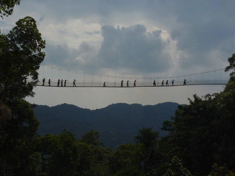 Visitors crossing canopy walkway under storm sky in Nyungwe, Rwanda