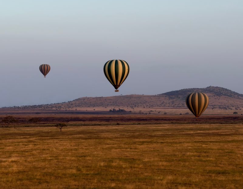 Three hot air balloons over golden plains at dawn