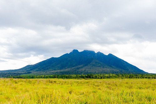 Cloud capped volcano over golden grassland in Volcanoes, Rwanda