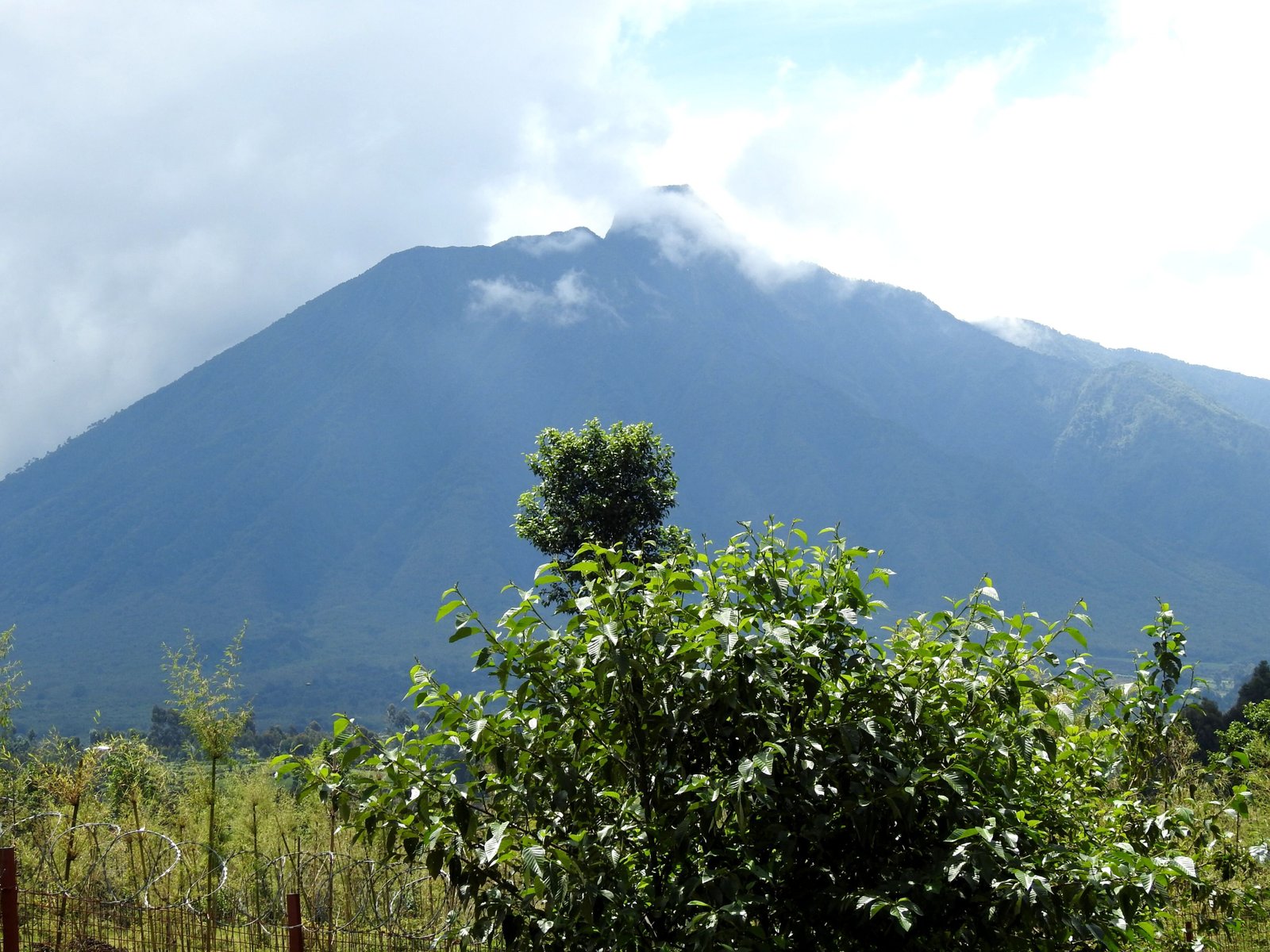 Cloud topped volcano behind boundary fence in Volcanoes, Rwanda