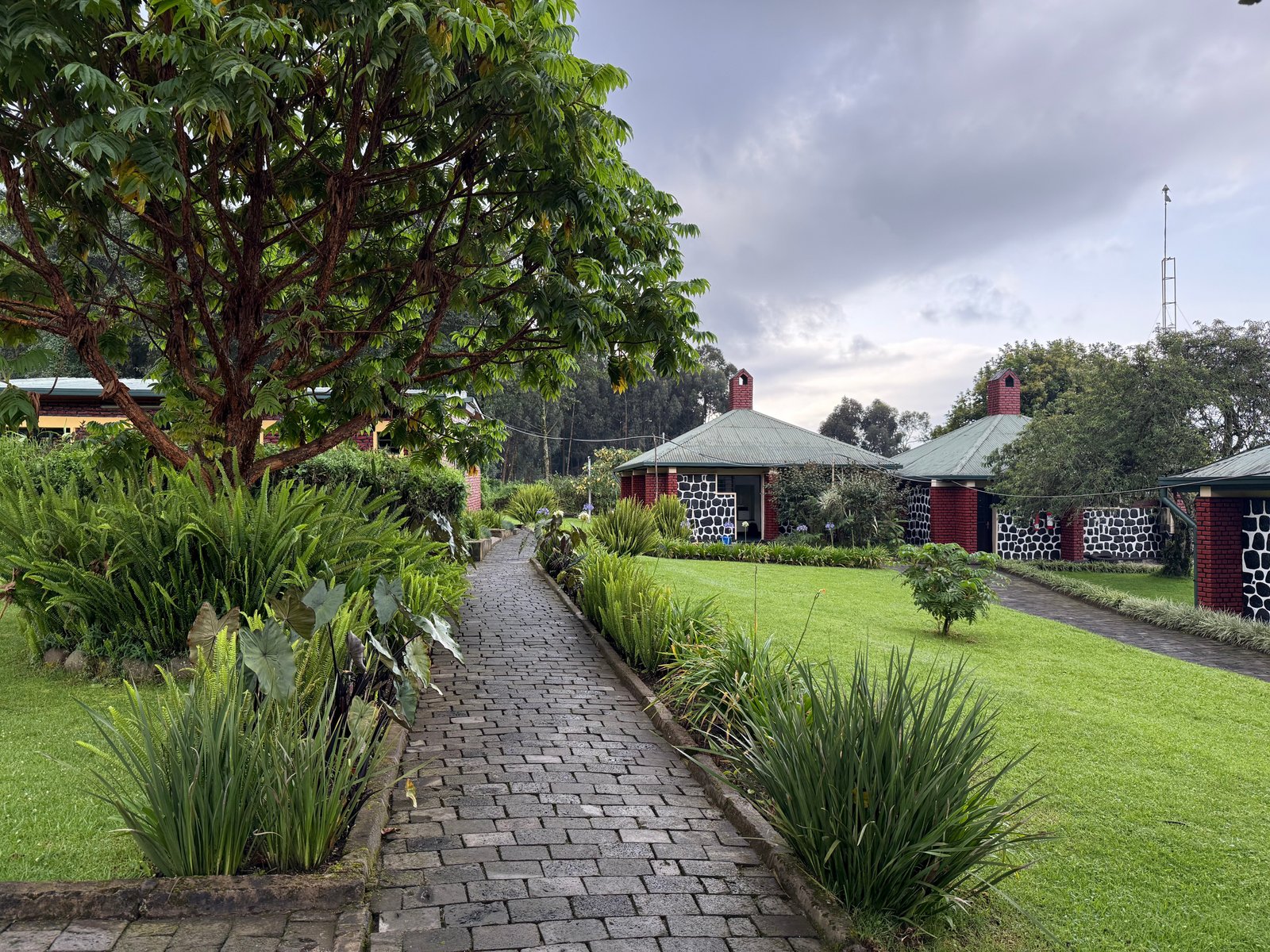Cobbled garden path between lodge cottages in Volcanoes, Rwanda