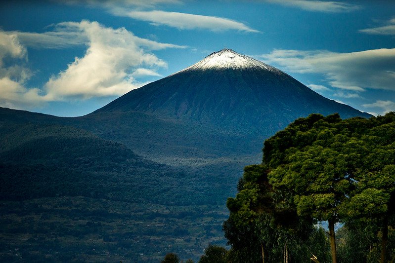 Conical volcano summit above eucalyptus trees in Volcanoes, Rwanda