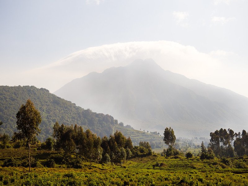Hazy volcano above eucalyptus and farmland in Volcanoes, Rwanda