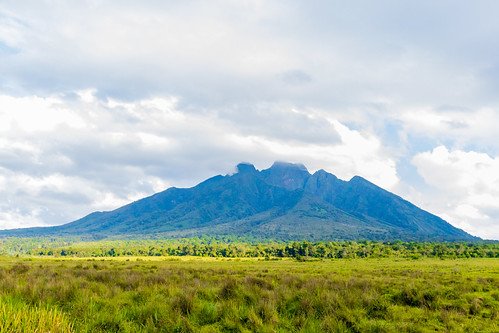 Jagged volcano peak above green marshland in Volcanoes, Rwanda