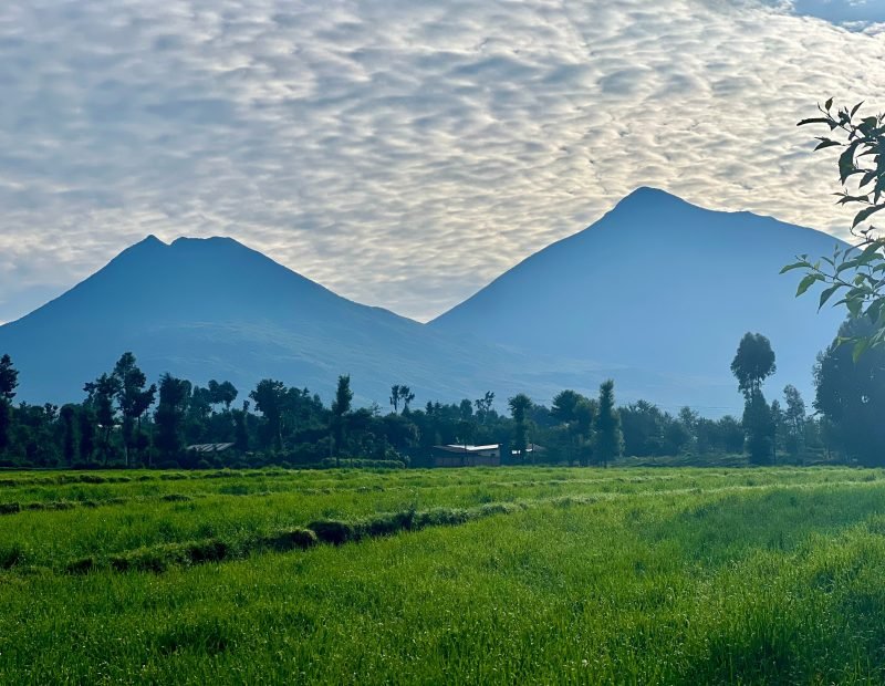 Two volcano silhouettes above green fields at dawn in Volcanoes, Rwanda