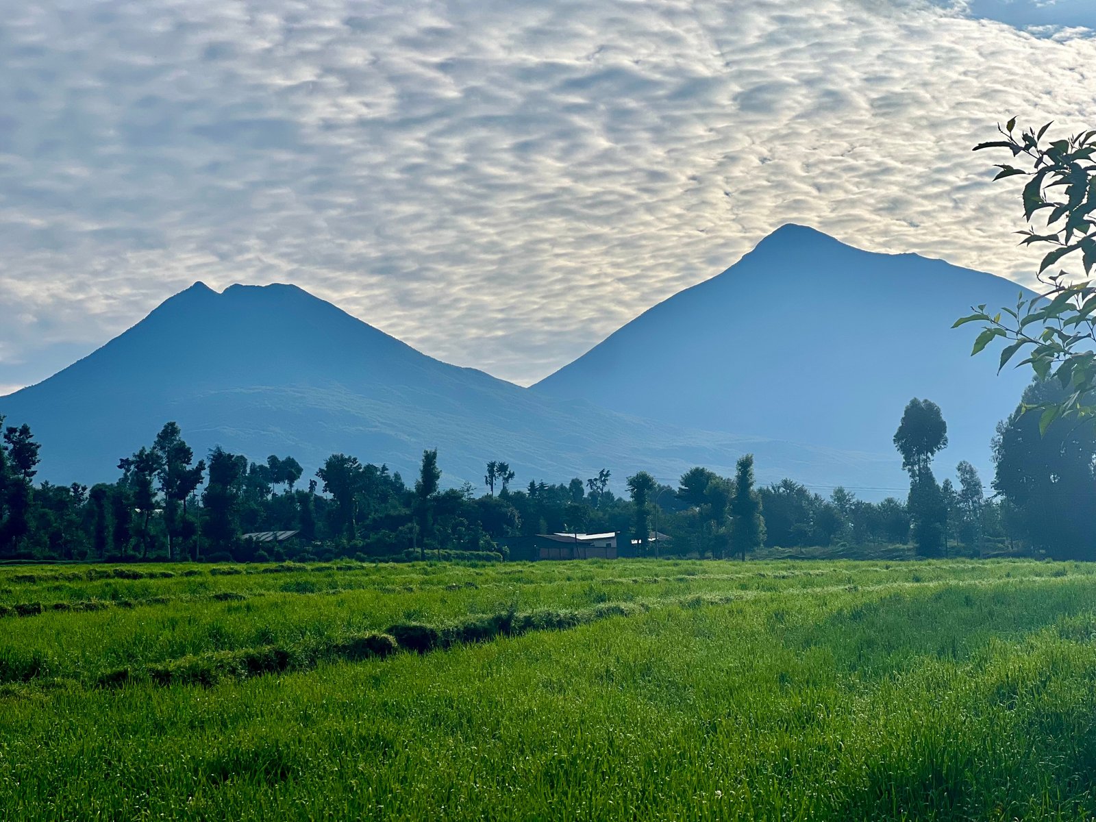 Two Virunga volcanoes silhouetted above green fields at dawn, Rwanda